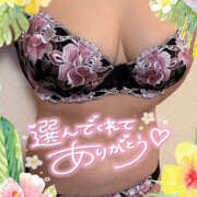 ヒメ日記 2025/06/05 16:39 投稿 ねね 迷宮の人妻　熊谷・行田発