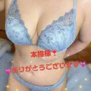 ヒメ日記 2026/01/08 15:59 投稿 ねね 迷宮の人妻　熊谷・行田発