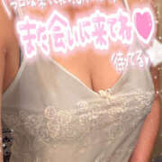 ヒメ日記 2024/12/19 09:15 投稿 ねね 迷宮の人妻 古河・久喜発