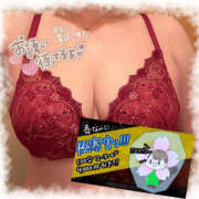 ヒメ日記 2025/04/01 16:19 投稿 ねね 迷宮の人妻 古河・久喜発