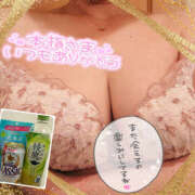 ヒメ日記 2025/04/15 16:09 投稿 ねね 迷宮の人妻 古河・久喜発