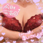 ヒメ日記 2025/04/16 10:19 投稿 ねね 迷宮の人妻 古河・久喜発