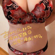 ヒメ日記 2025/07/23 10:09 投稿 ねね 迷宮の人妻 古河・久喜発