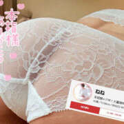 ヒメ日記 2025/08/23 00:18 投稿 ねね 迷宮の人妻 古河・久喜発