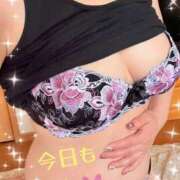 ヒメ日記 2025/12/29 10:09 投稿 ねね 迷宮の人妻 古河・久喜発