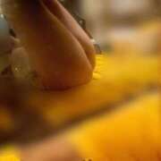 ヒメ日記 2026/02/15 12:53 投稿 ゆん ハピネス札幌