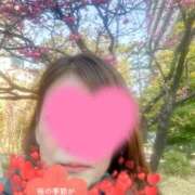 田川 春ですね💕 品川しろうさぎ