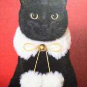 ヒメ日記 2024/12/14 17:50 投稿 りお 人妻小旅行