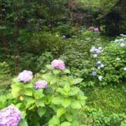 りお 明日お待ちしております 人妻小旅行