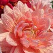 ヒメ日記 2026/02/27 15:57 投稿 りお 人妻小旅行