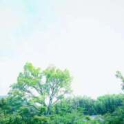 ヒメ日記 2026/04/17 13:25 投稿 りお 人妻小旅行