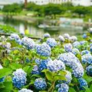 りお 明日18時よりお待ちしております 人妻小旅行