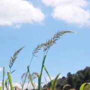 ヒメ日記 2026/08/14 13:45 投稿 りお 人妻小旅行