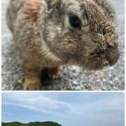 ヒメ日記 2025/05/06 10:46 投稿 山寺智香 五十路マダムエクスプレス神戸店(カサブランカグループ)