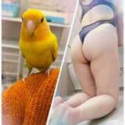 山寺智香 小鳥 五十路マダムエクスプレス神戸店(カサブランカグループ)