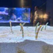 ヒメ日記 2025/06/06 11:45 投稿 浅香いる エルドール