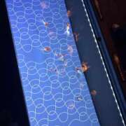 ヒメ日記 2025/08/05 11:45 投稿 浅香いる エルドール