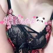 ヒメ日記 2024/12/20 15:53 投稿 うた 若葉