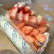 ヒメ日記 2025/01/04 09:17 投稿 うた 若葉