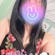 ヒメ日記 2025/01/13 23:52 投稿 うた 若葉