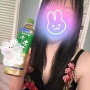 ヒメ日記 2025/01/14 10:05 投稿 うた 若葉