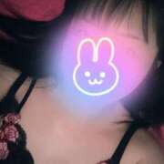 ヒメ日記 2025/01/17 06:55 投稿 うた 若葉