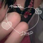 ヒメ日記 2025/02/13 14:43 投稿 うた 若葉