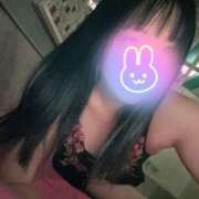 ヒメ日記 2025/02/18 08:25 投稿 うた 若葉