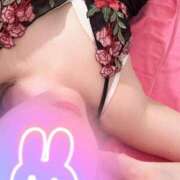 ヒメ日記 2025/03/20 19:25 投稿 うた 若葉