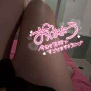 ヒメ日記 2025/04/18 07:11 投稿 うた 若葉