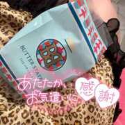 ヒメ日記 2025/05/05 10:45 投稿 うた 若葉