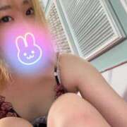 ヒメ日記 2025/06/25 07:25 投稿 うた 若葉