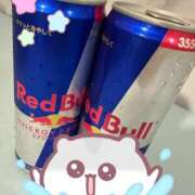 ヒメ日記 2025/07/23 08:35 投稿 うた 若葉