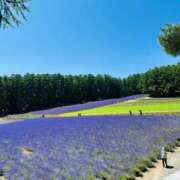 ヒメ日記 2025/07/29 19:05 投稿 うた 若葉