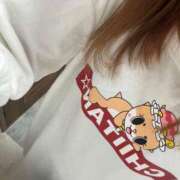 ヒメ日記 2024/12/28 09:36 投稿 めい エディーズ