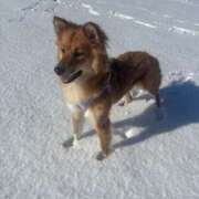 ヒメ日記 2025/01/11 09:20 投稿 めい エディーズ