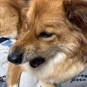 ヒメ日記 2025/02/01 09:20 投稿 めい エディーズ