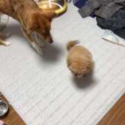 ヒメ日記 2025/02/07 08:40 投稿 めい エディーズ