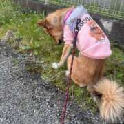 ヒメ日記 2025/05/03 18:41 投稿 めい エディーズ