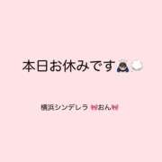 ヒメ日記 2024/11/20 10:52 投稿 おん 横浜シンデレラ