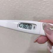 ヒメ日記 2025/01/14 11:57 投稿 レイカ(奥方) 奥様幕府