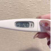 ヒメ日記 2025/02/25 14:58 投稿 レイカ(奥方) 奥様幕府