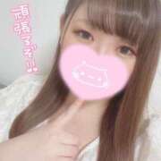 ヒメ日記 2025/03/18 16:27 投稿 レイカ(奥方) 奥様幕府