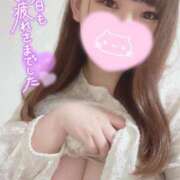 ヒメ日記 2025/03/22 00:47 投稿 レイカ(奥方) 奥様幕府