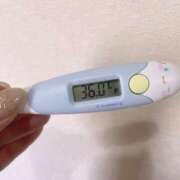 ヒメ日記 2025/04/24 13:40 投稿 レイカ(奥方) 奥様幕府