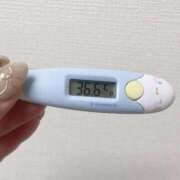 ヒメ日記 2025/04/26 15:17 投稿 レイカ(奥方) 奥様幕府