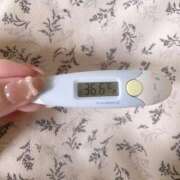 ヒメ日記 2025/06/23 12:57 投稿 レイカ(奥方) 奥様幕府