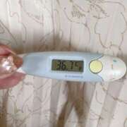 ヒメ日記 2025/06/24 11:47 投稿 レイカ(奥方) 奥様幕府