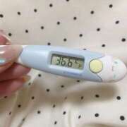 ヒメ日記 2025/07/22 12:57 投稿 レイカ(奥方) 奥様幕府