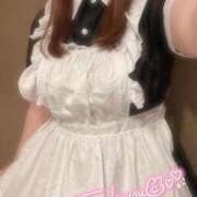 ヒメ日記 2025/07/24 01:57 投稿 レイカ(奥方) 奥様幕府